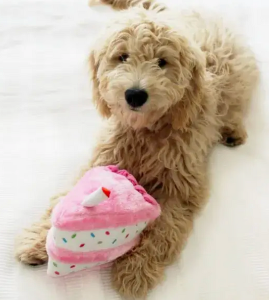 Birthday Plush Toy Pink