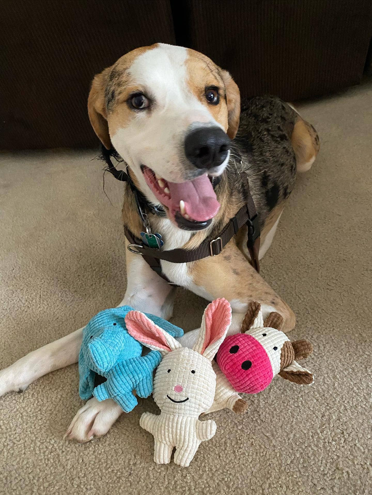 Bunny Small Plush Toy