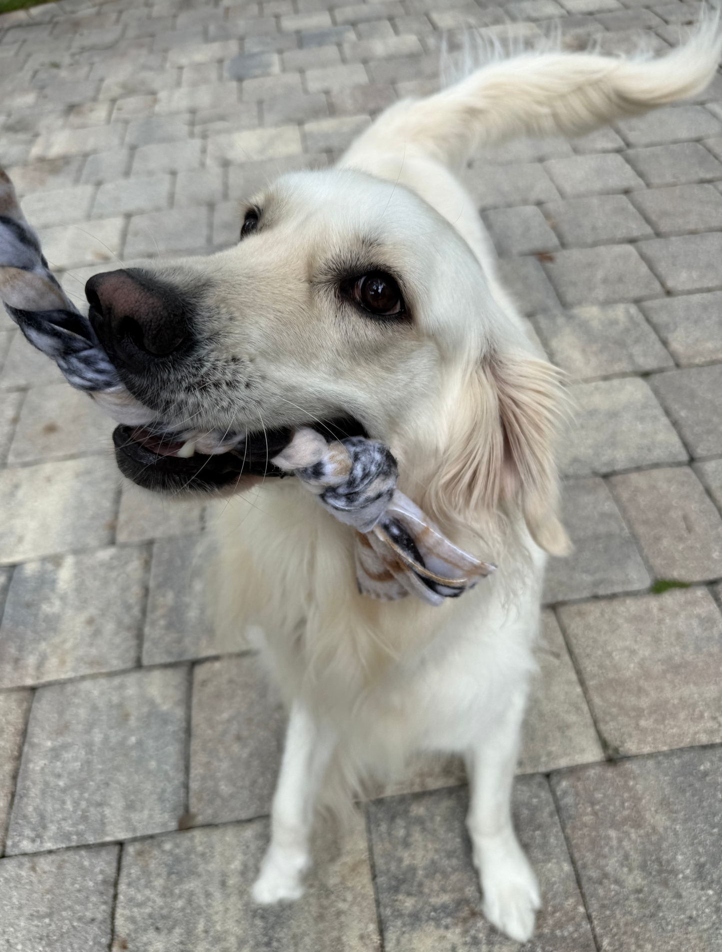 Tug Toy