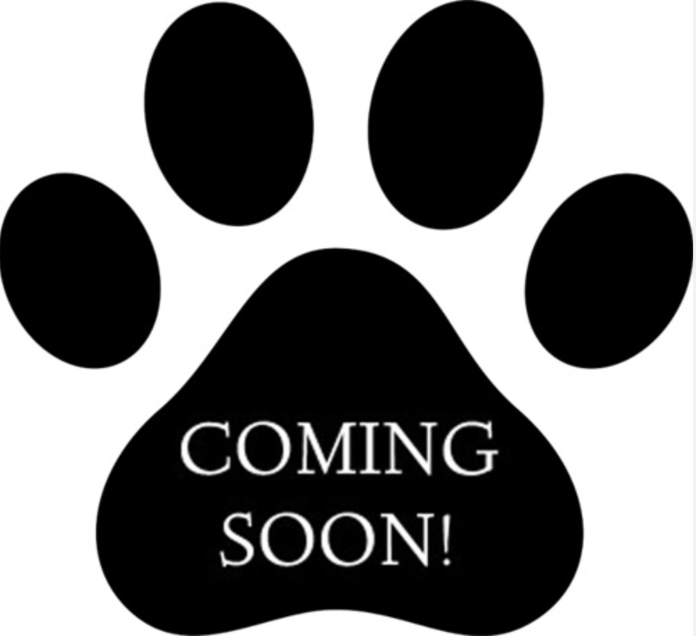 NEW PUPPY SIGNATURE BOX