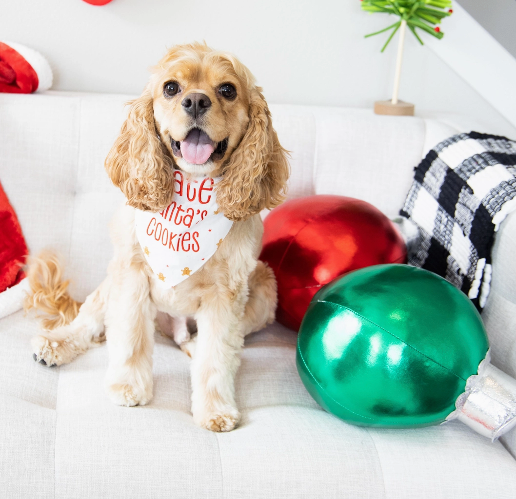 I ate Santas Cookies Bandana